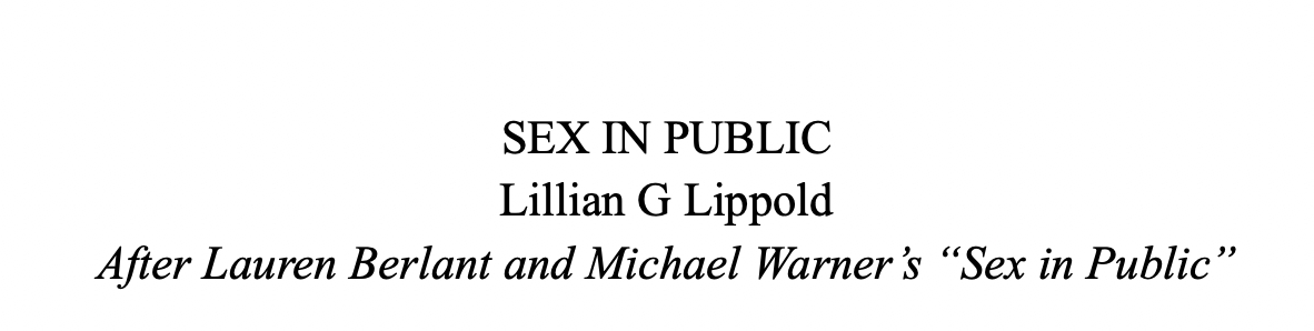 Sex in Public by Lilian G Lippold